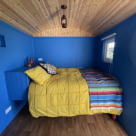 Shepherds Hut - Brecon Beacons Llangadog Exterior photo