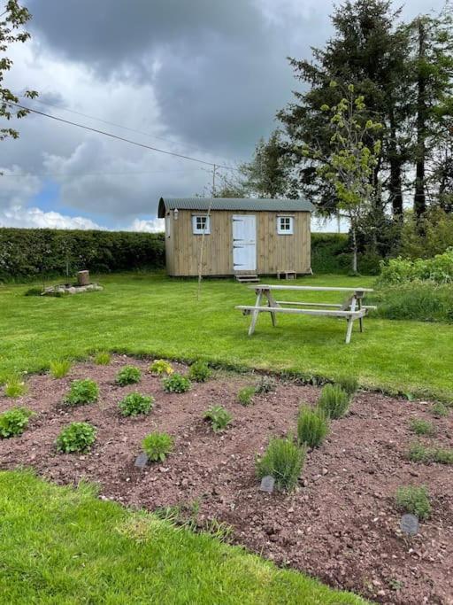 Campsite Shepherds Hut - Brecon Beacons Llangadog
